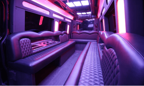 Fayetteville 14 Passenger Sprinter Bus Interior